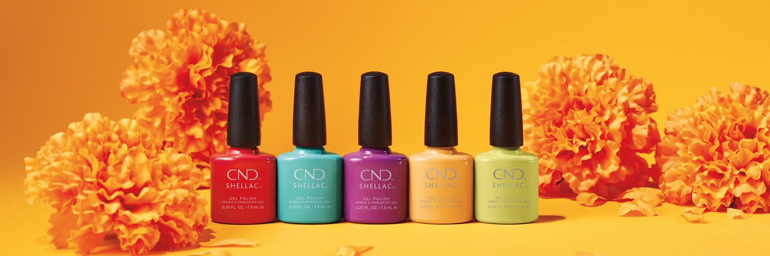 lineup-collezione-rise-&-shine lineup-collezione-rise-&-shine